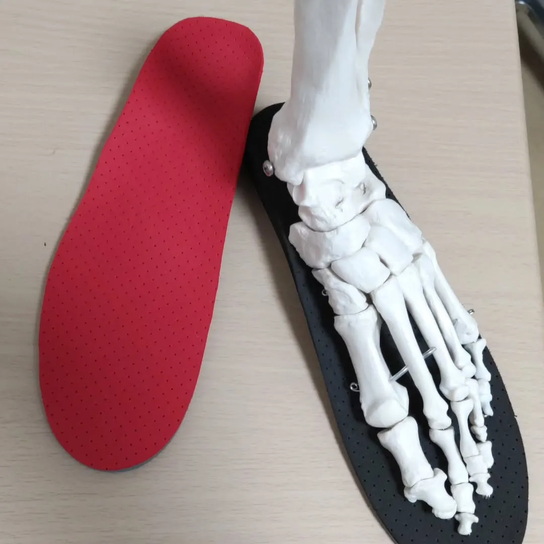 足には3つのアーチがあることしってますか?